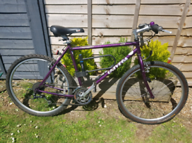 univega alpina 504